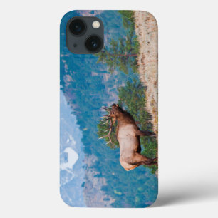 Elk (Cervus Elephus) Bull Bugling iPhone 13 Case