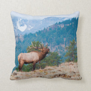 Elk (Cervus Elephus) Bull Bugling Cushion