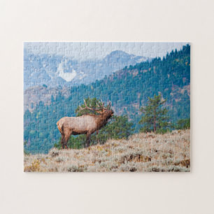 Elk (Cervus Elephus) Bull Bugling Jigsaw Puzzle