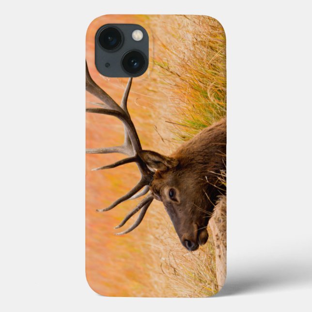 Elk (Cervus Elephus) Resting In Meadow Grass Case-Mate iPhone Case (Back)