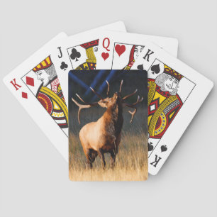 Elk Charging Playing Cards