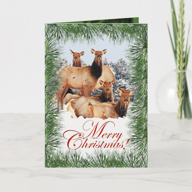 Elk Christmas greeting Card (Front)