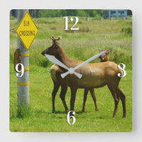 Elk Crossing California Wildlife Photography