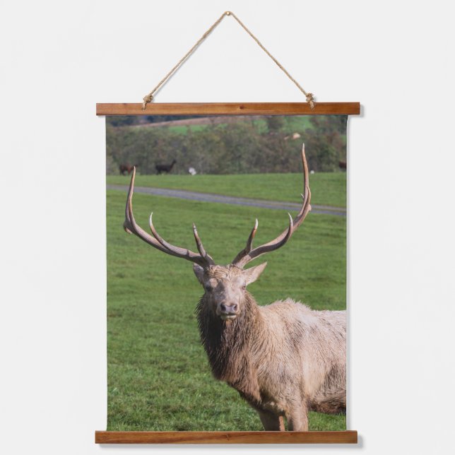 Elk Custom 26"x36" Vertical (Portrait), One Panel Hanging Tapestry (Front)