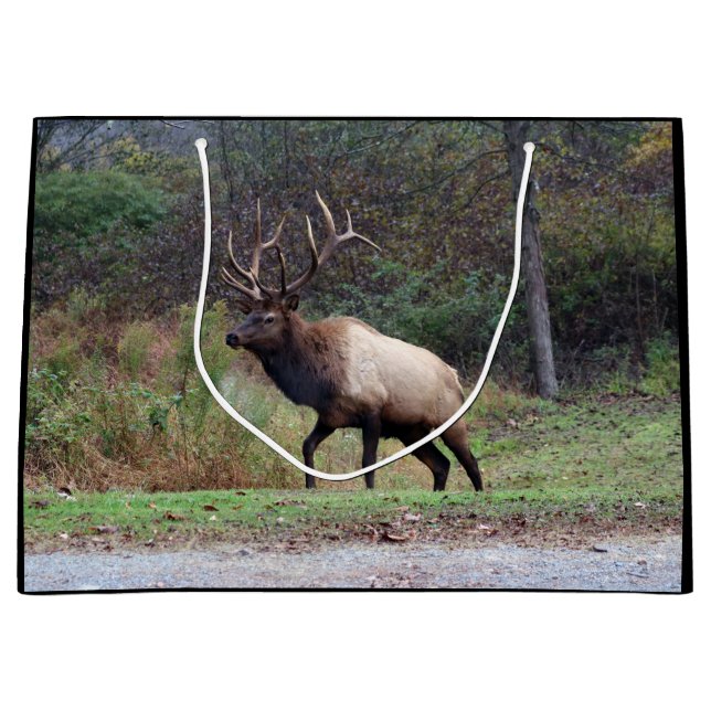 Elk Gift Bag (Front)