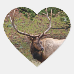 Elk Heart Sticker