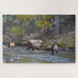 Elk Herd in the Big Thompson River Jigsaw Puzzle