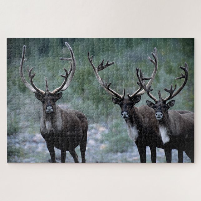 Elk Herd | Mt. Baring, Washington Jigsaw Puzzle (Horizontal)
