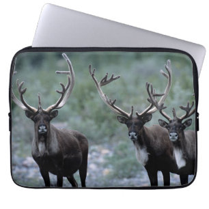 Elk Herd   Mt. Baring, Washington Laptop Sleeve