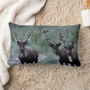 Elk Herd Mt. Baring, Washington Lumbar Cushion