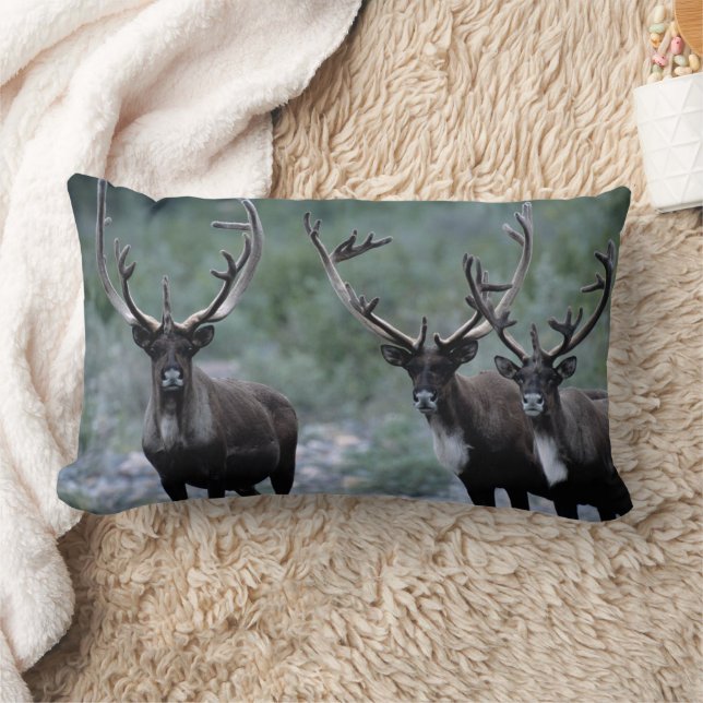 Elk Herd | Mt. Baring, Washington Lumbar Cushion (Blanket)