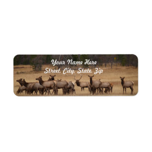 Elk Herd Return Address Sticker