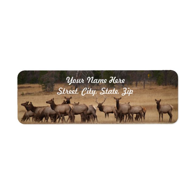 Elk Herd  Return Address Sticker (Front)