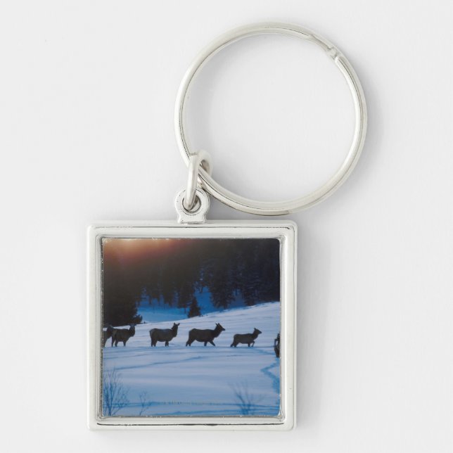 Elk herd walking through field key ring (Front)