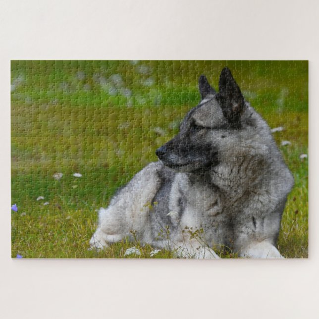 Elk Hound Dog. Jigsaw Puzzle (Horizontal)