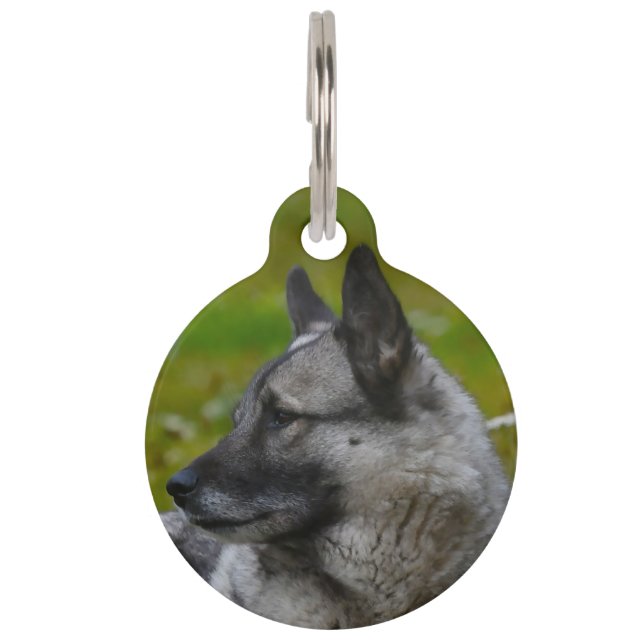Elk Hound. Pet Tag (Front)