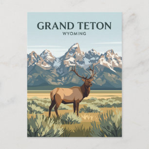 Elk in Grand Teton National Park Wyoming Postcard