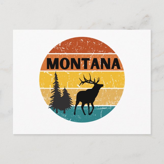 Elk in Montana Postcard (Front)