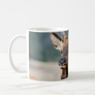 ELK IN ROCKY MOUNTAIN NATIONAL PARK - ELK HERDS GR COFFEE MUG