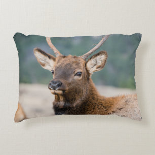 ELK IN ROCKY MOUNTAIN NATIONAL PARK - ELK HERDS GR DECORATIVE CUSHION