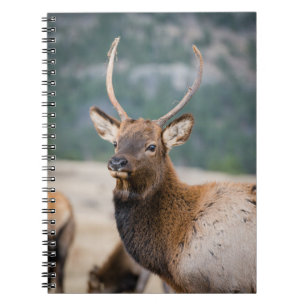 ELK IN ROCKY MOUNTAIN NATIONAL PARK - ELK HERDS GR NOTEBOOK