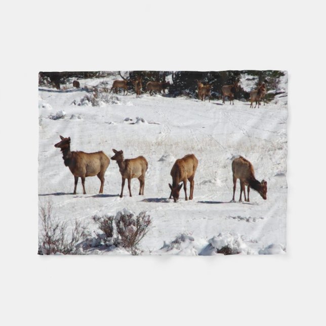 Elk in snow fleece blanket (Front (Horizontal))