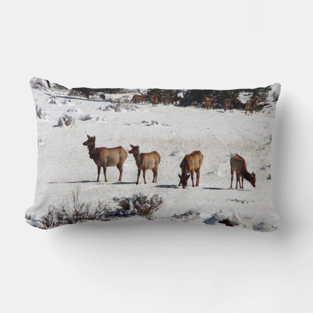 Elk in snow lumbar pillow (Front)