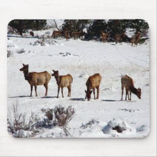 Elk in snow mousepad