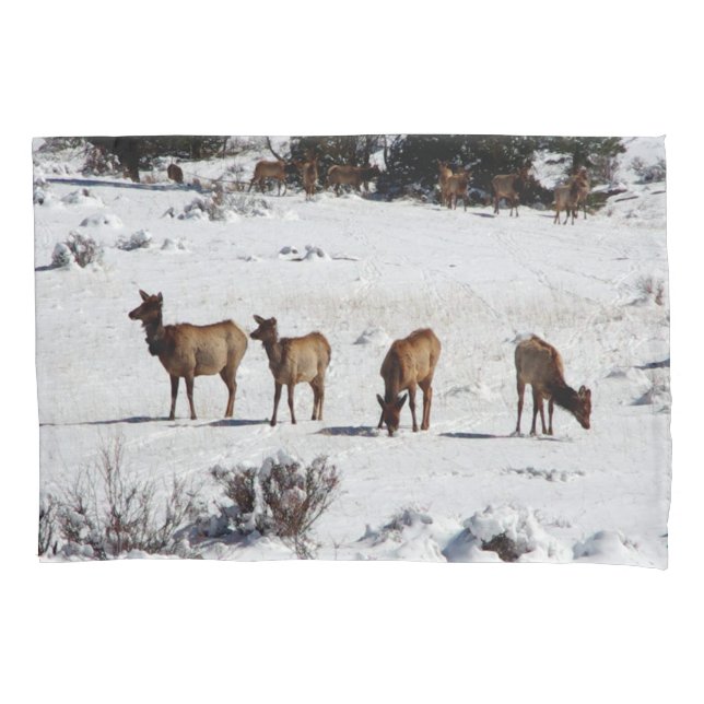 Elk in snow pillow case (Front)