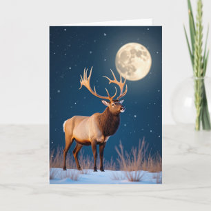 Elk In Snowy Moonlight Card