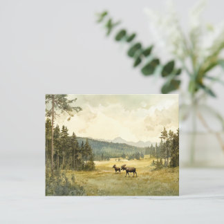 Elk in summer - postcard