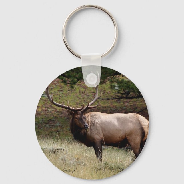 Elk in the Wild Key Ring (Front)