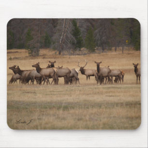 Elk in the Wild Mousepad
