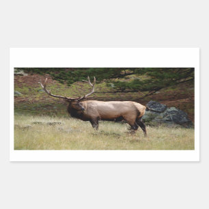 Elk in the Wild Sticker