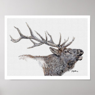 Elk Ink and Watercolor Poster