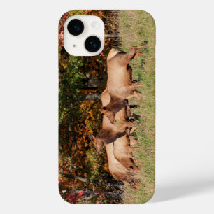 Elk iPhone Case