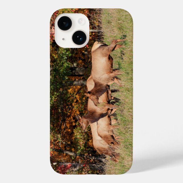 Elk iPhone Case (Back)