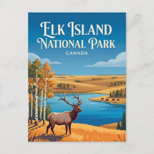 Elk Island National Park Canada Postcard