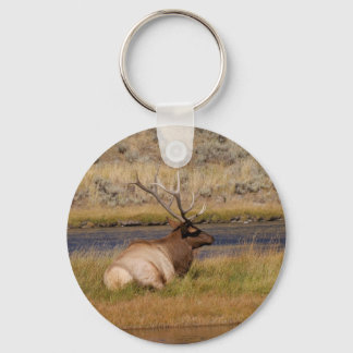 Elk Key Ring