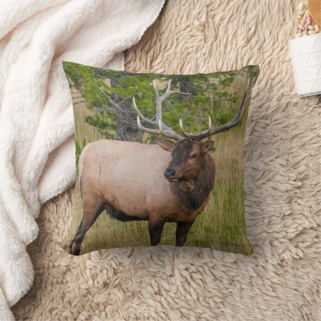 Elk Lake Village Yellowstone National Park Wyoming Cushion (Blanket)