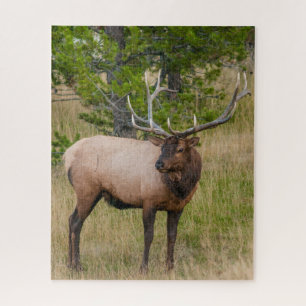 Elk Lake Village Yellowstone National Park Wyoming Jigsaw Puzzle