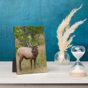 Elk Lake Village Yellowstone National Park Wyoming Plaque