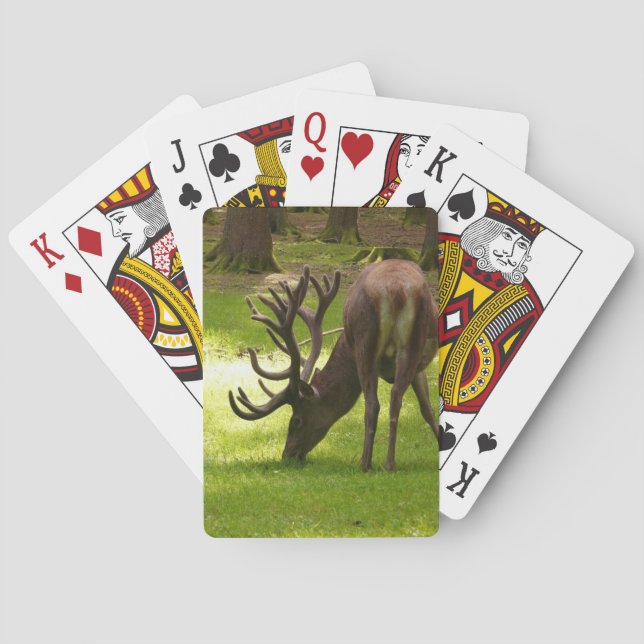 elk mammal wildlife bicycle playing cards (Back)