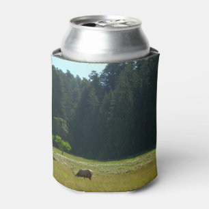 Elk Meadow at Redwood National Park Can Cooler