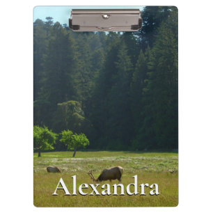 Elk Meadow at Redwood National Park Clipboard