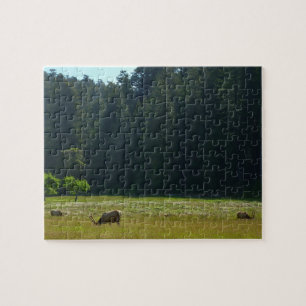 Elk Meadow at Redwood National Park Jigsaw Puzzle