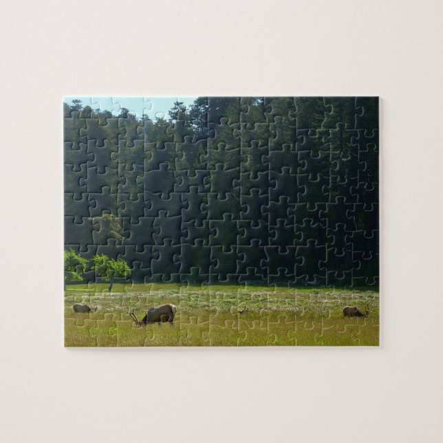 Elk Meadow at Redwood National Park Jigsaw Puzzle (Horizontal)