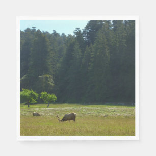 Elk Meadow at Redwood National Park Napkin