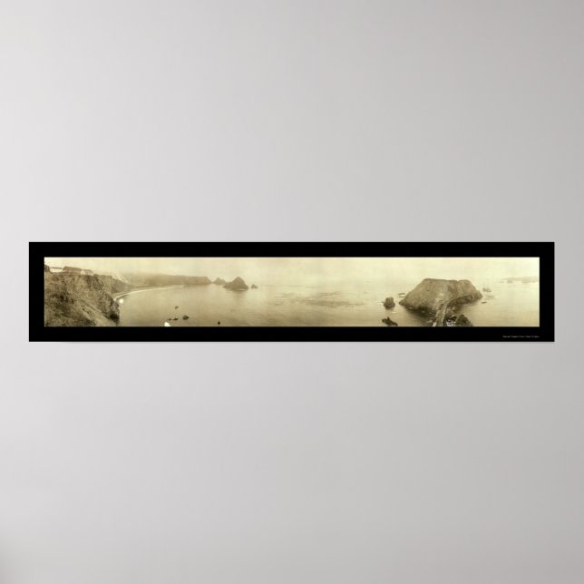 Elk Mendocino CA Photo 1911 Poster (Front)