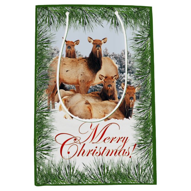 Elk Merry Christmas greeting Medium Gift Bag (Front)